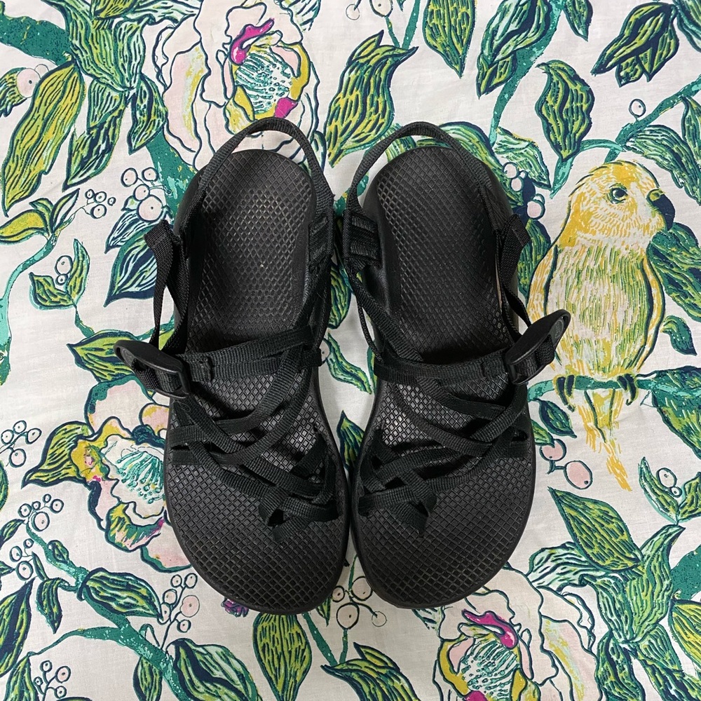 Chaco Toe-Strap Sandals (size 9)